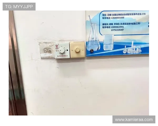 凯发K8手机娱乐：安全稳定的平台保障玩家的每一次游戏体验