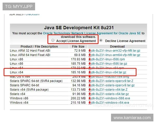 K8.com凯发网址官方网站的安全保障措施与客户服务支持详细解析