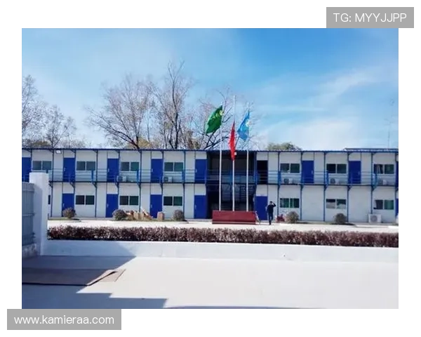 凯发体育集团官方网址查询指南帮助玩家快速找到正规登录入口