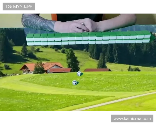 全面解析推饼子玩法的规则与策略，助你轻松赢得游戏胜利