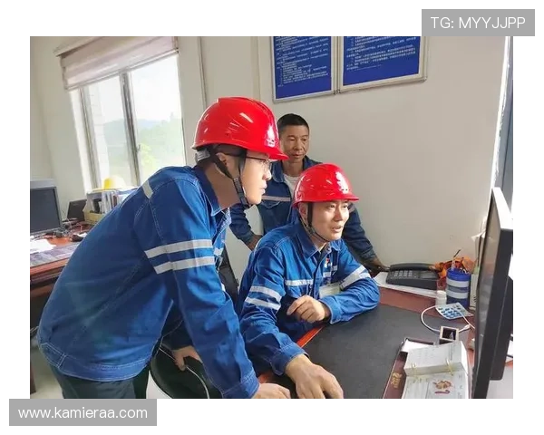 凯发电投网站官网用户评价与口碑反馈分析报告