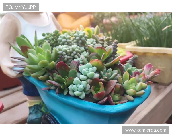 K8竟咪厅最新玩法介绍与攻略，助你轻松掌握游戏技巧提升体验