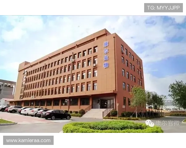 凯发集团简介资料全面介绍公司发展历程与核心业务发展战略