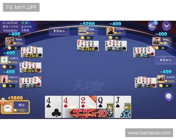 K8牛牛官网用户评价与口碑分析，真实玩家分享游戏体验与建议