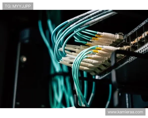 K8凯发在线登录入口最新官方地址及登录流程全攻略指南